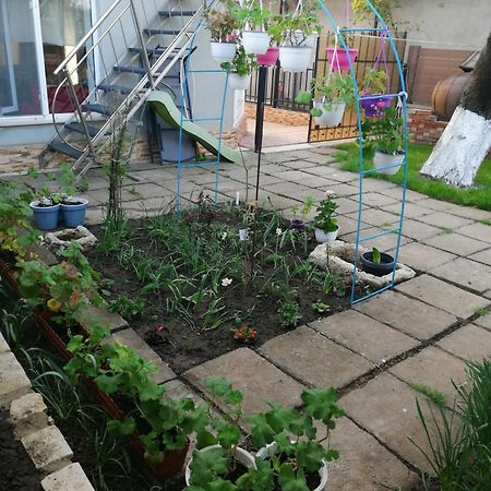Două Mai Casa Flor 아파트 외부 사진
